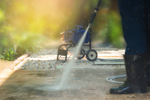 Best Fence Cleaning  in Moweaqua, IL